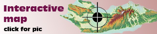The Interactive Map